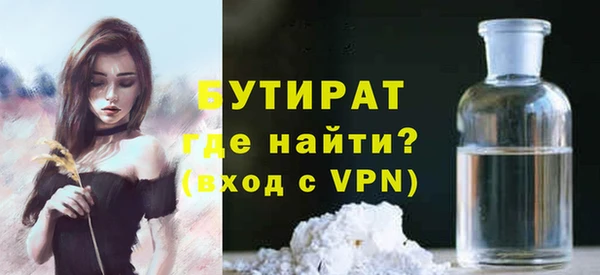 индика Арсеньев