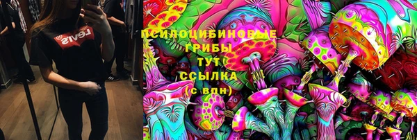 apvp Алзамай