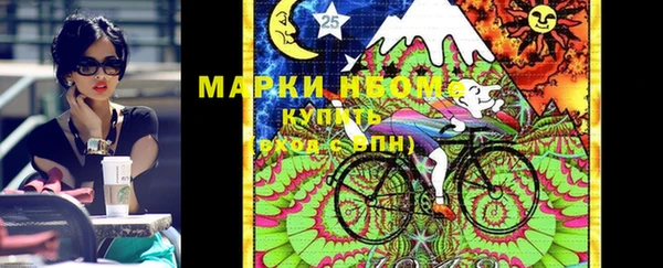 индика Арсеньев