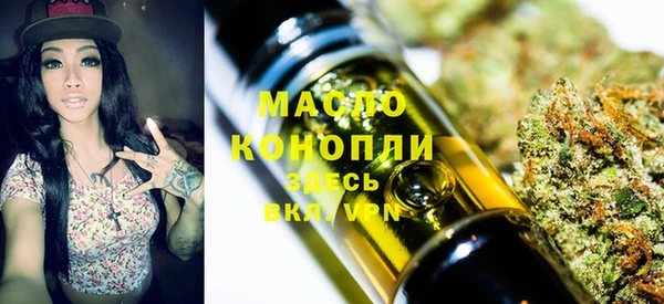 индика Арсеньев