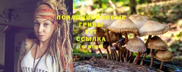 марки nbome Аркадак
