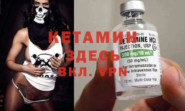 индика Арсеньев