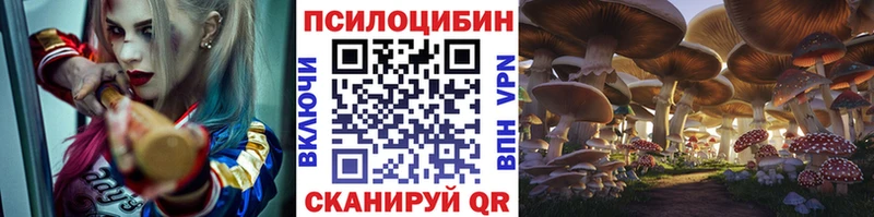 Псилоцибиновые грибы MAGIC MUSHROOMS  Советская Гавань 